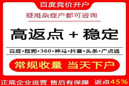 SEM运营推广策略：成功案例解析